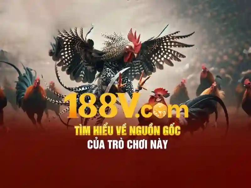 Tổng quan về 188v . com