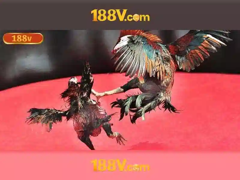 Tổng quan về 188v là gì