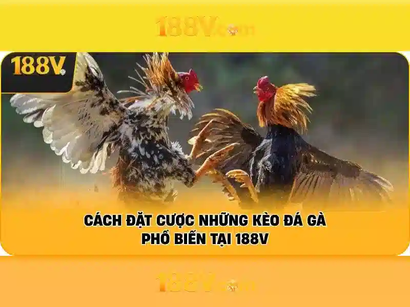 188v còn – Trải nghiệm 188v còn và hành trình phát triển 1 Đăng Nhập