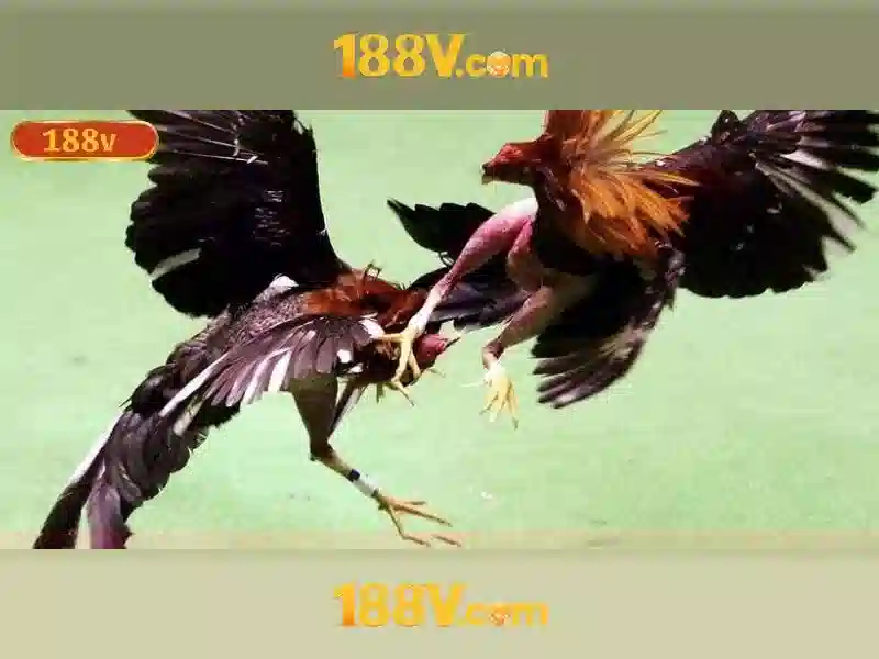 Nguon goc va su menh cua 188v ios