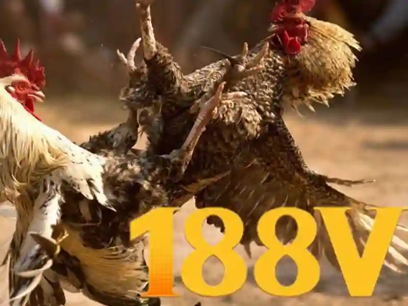 code 188v mới nhất – Giới thiệu đầy cảm hứng